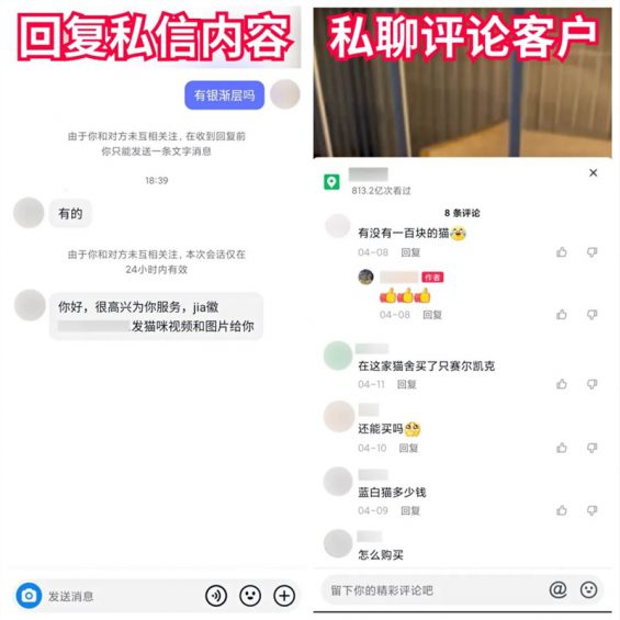 119 抖音快手卖猫狗，0门槛，月销30万！